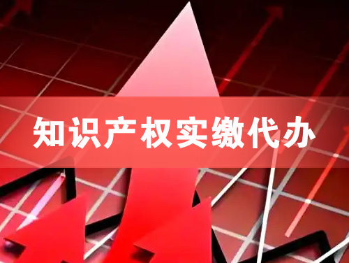 邵阳知识产权实缴资本代办